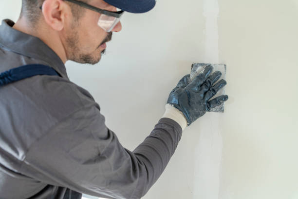 Best Commercial Painting  in Meadows Place, TX